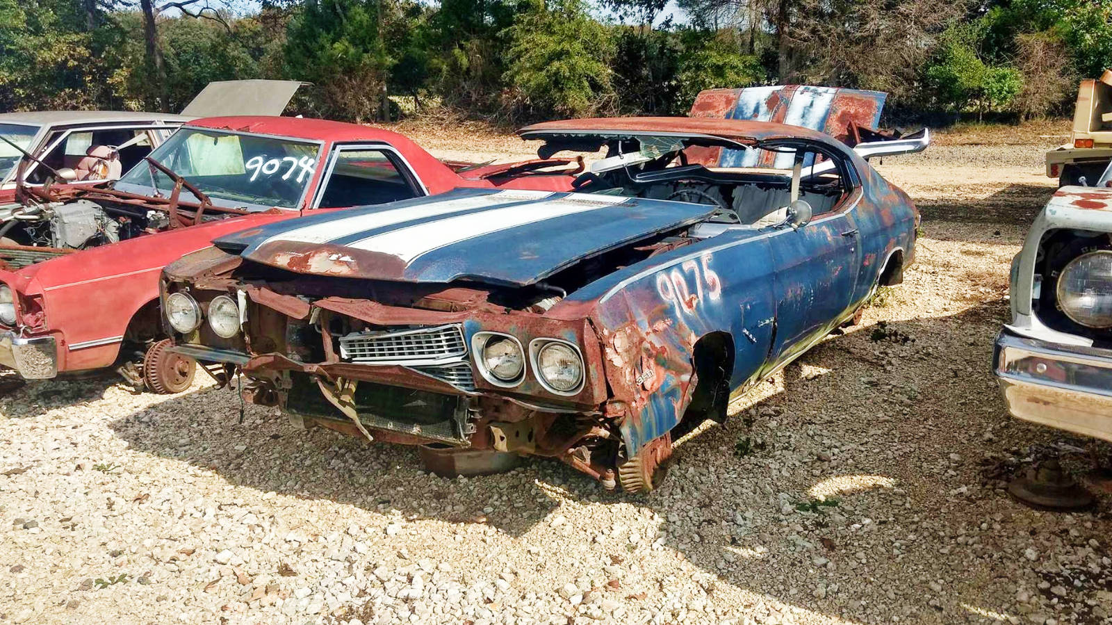 Tennessee Salvage Yard 21 Barn Finds