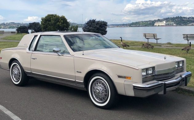 every option 1984 oldsmobile toronado caliente 1984 oldsmobile toronado caliente