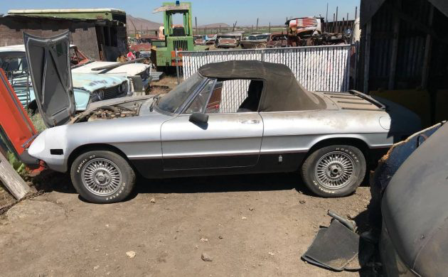 20 Years Stored 1977 Alfa Romeo Spider