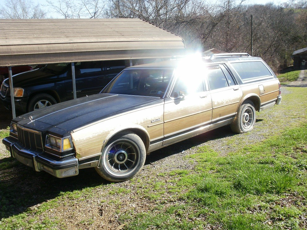 LUV = Luxury Utility Vehicle: 1979 Buick Estate Wagon