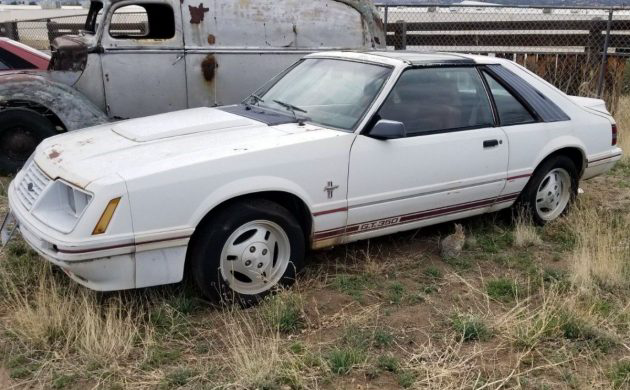 20th anniversary turbo 1984 ford mustang gt350 1984 ford mustang gt350