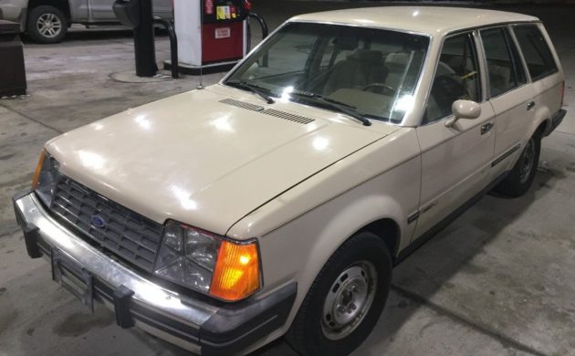 unlikely survivor 1982 ford escort gl wagon 1982 ford escort gl wagon