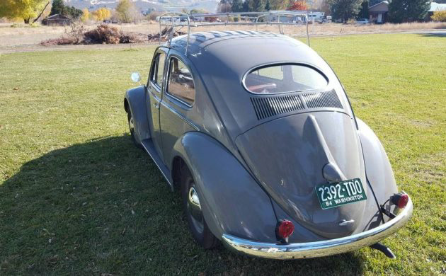 Semaphore Bug: 1954 Volkswagen Beetle – Barn Finds