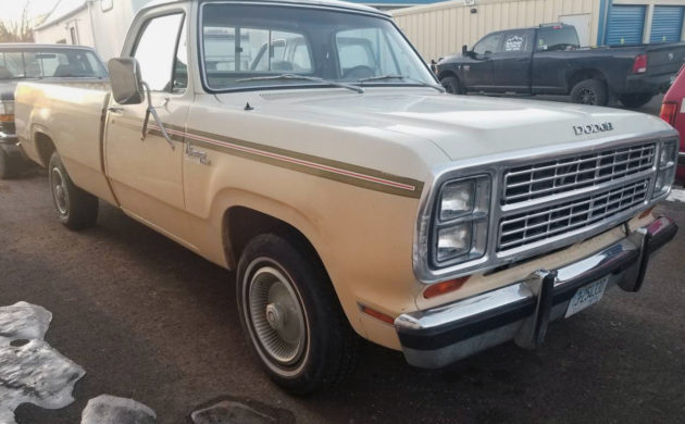 Rare Palomino: 1979 Dodge D150 Pickup